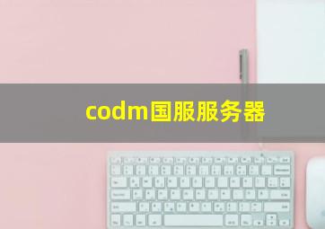 codm国服服务器