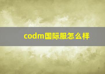 codm国际服怎么样