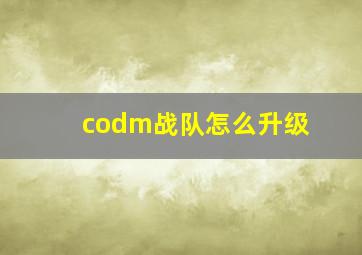 codm战队怎么升级