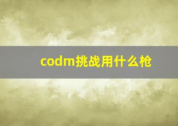 codm挑战用什么枪