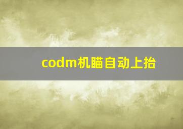 codm机瞄自动上抬