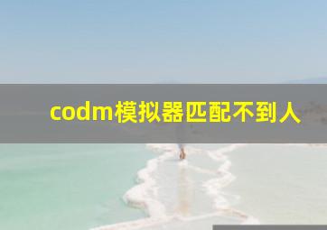 codm模拟器匹配不到人