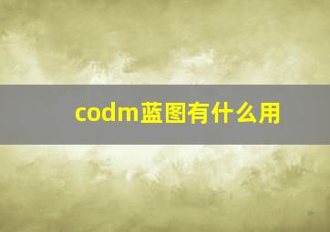 codm蓝图有什么用