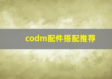 codm配件搭配推荐