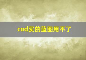 cod买的蓝图用不了