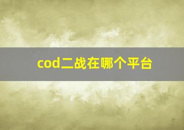 cod二战在哪个平台