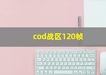 cod战区120帧