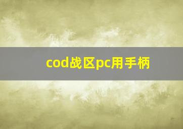 cod战区pc用手柄