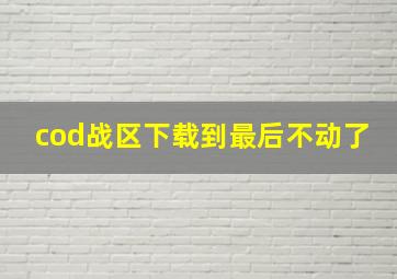 cod战区下载到最后不动了