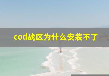 cod战区为什么安装不了