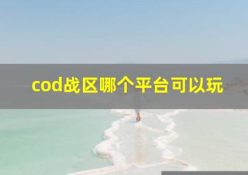 cod战区哪个平台可以玩