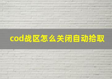 cod战区怎么关闭自动拾取