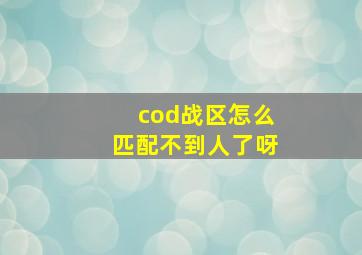 cod战区怎么匹配不到人了呀