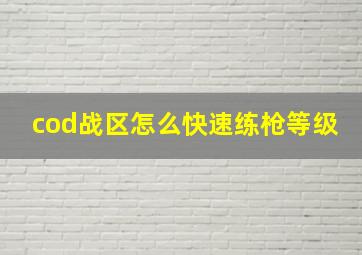 cod战区怎么快速练枪等级