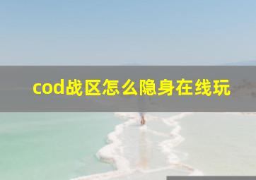 cod战区怎么隐身在线玩