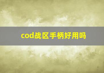 cod战区手柄好用吗