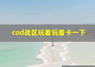 cod战区玩着玩着卡一下