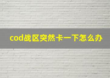 cod战区突然卡一下怎么办