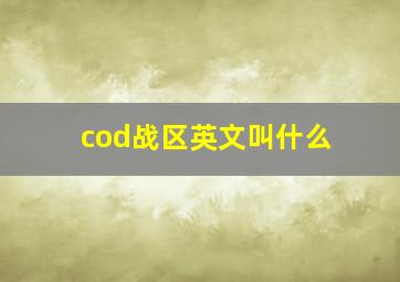 cod战区英文叫什么