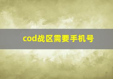 cod战区需要手机号