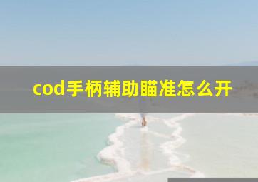 cod手柄辅助瞄准怎么开