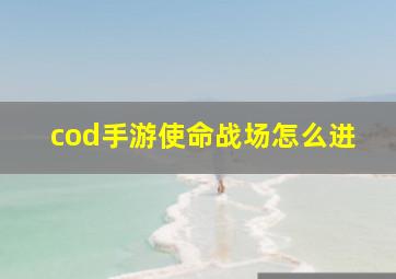 cod手游使命战场怎么进