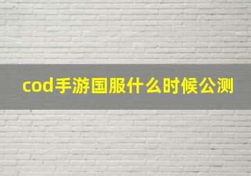 cod手游国服什么时候公测