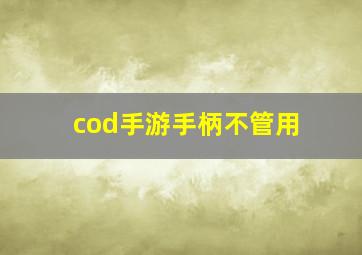 cod手游手柄不管用