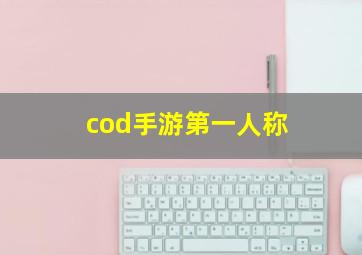 cod手游第一人称