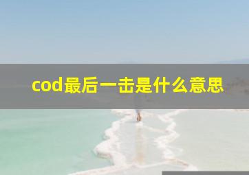 cod最后一击是什么意思