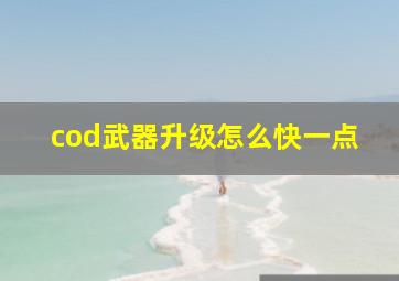 cod武器升级怎么快一点