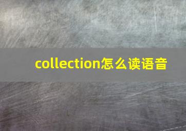 collection怎么读语音