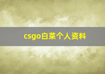 csgo白菜个人资料