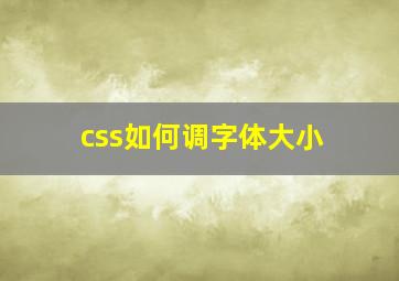 css如何调字体大小