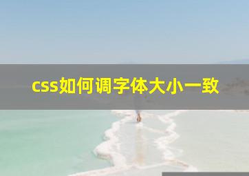 css如何调字体大小一致