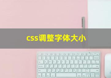 css调整字体大小