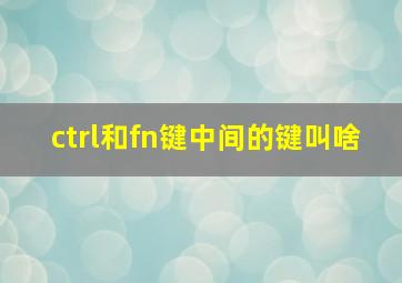 ctrl和fn键中间的键叫啥