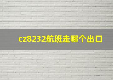 cz8232航班走哪个出口