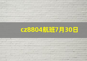 cz8804航班7月30日