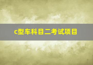 c型车科目二考试项目