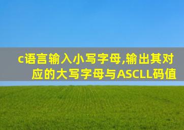 c语言输入小写字母,输出其对应的大写字母与ASCLL码值