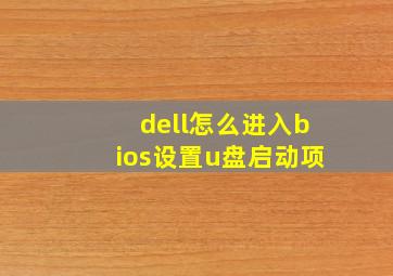 dell怎么进入bios设置u盘启动项