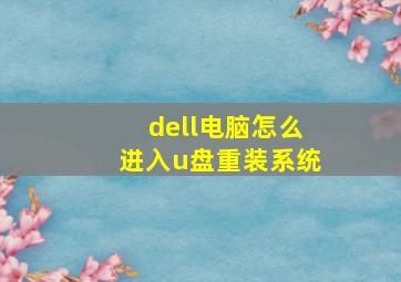 dell电脑怎么进入u盘重装系统