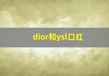 dior和ysl口红