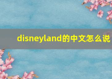 disneyland的中文怎么说