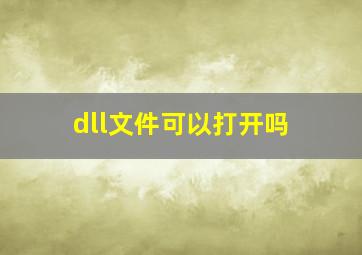 dll文件可以打开吗