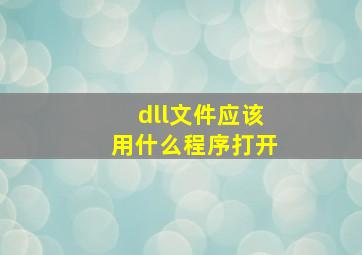 dll文件应该用什么程序打开