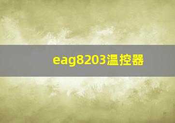 eag8203温控器