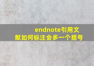 endnote引用文献如何标注会多一个括号