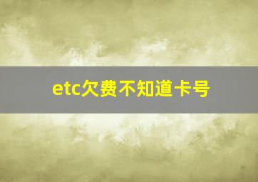 etc欠费不知道卡号